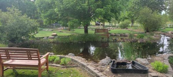 Reno Mini Golf Pond