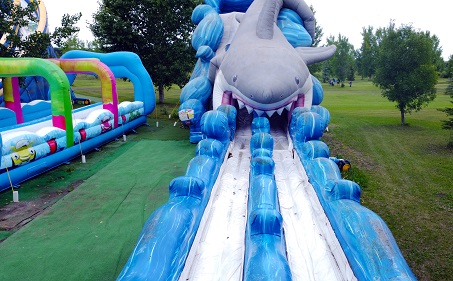 Splash Zone Shark